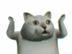 The grey $IDK cat raising both paws in confusion